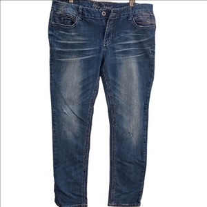 Ariya Blue Skinny Jeans Western Fancy with Stretch Denim 15